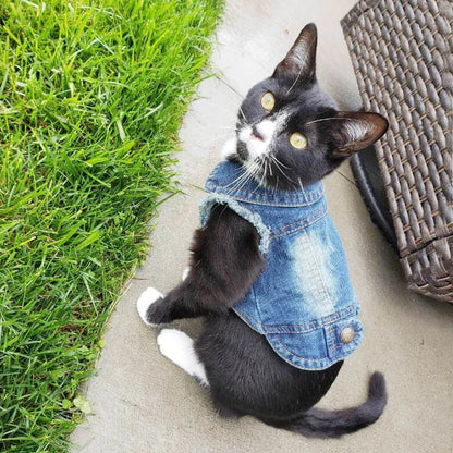 Denim Cat Clothes