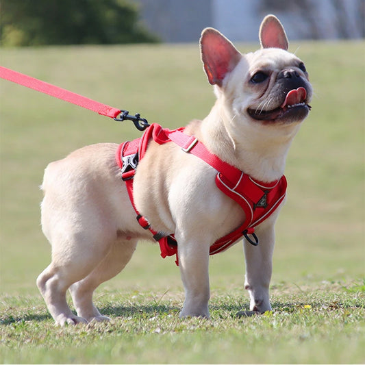 Reflective Dog Harness for Small Dogs