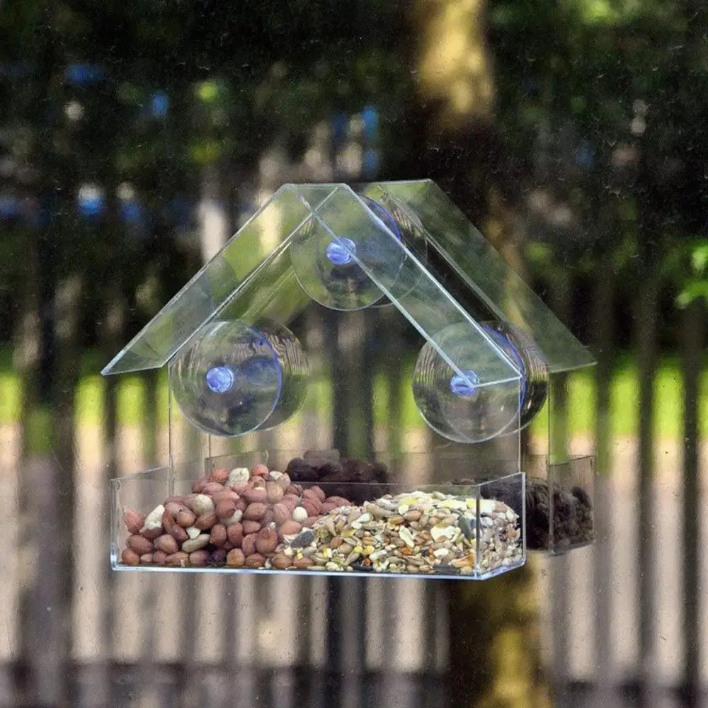 Acrylic Transparent Bird Feeder with Suction Cup