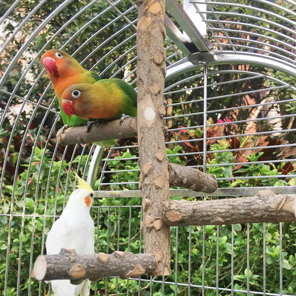 Natural Wooden Birds Perch