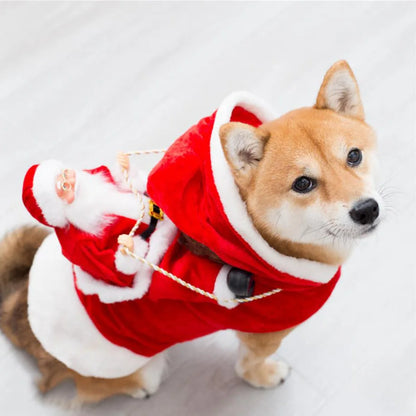 Christmas Pet Costume