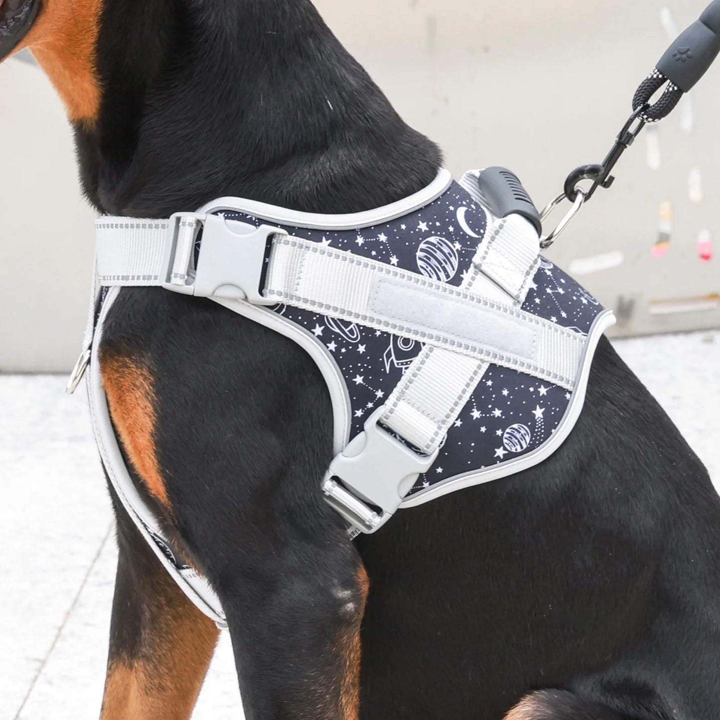 Large Dog Soft Adjustable Harness