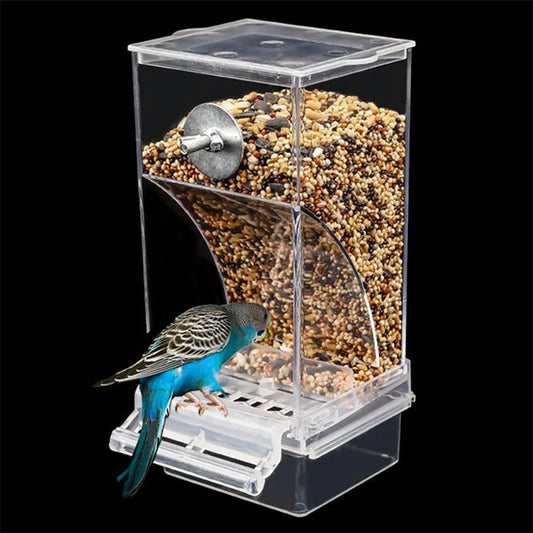 Removable Feeder for Birds